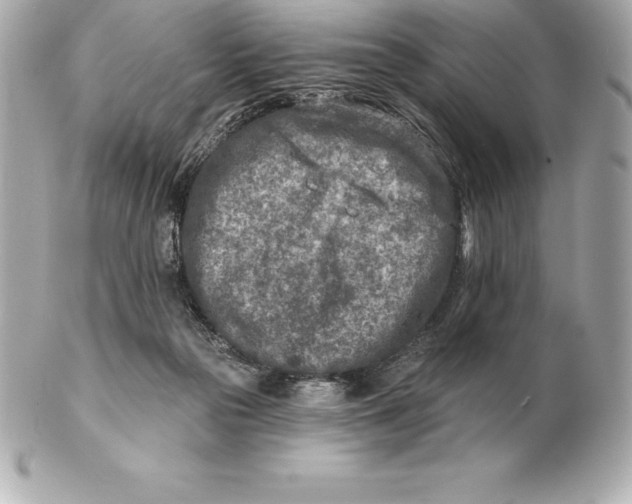 X0000102280169200808151937