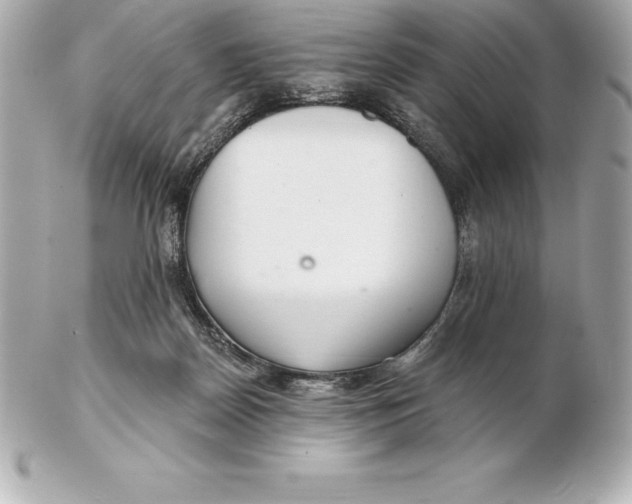 X0000102280170200808151937