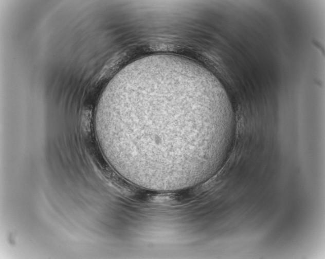 X0000102280171200808151937