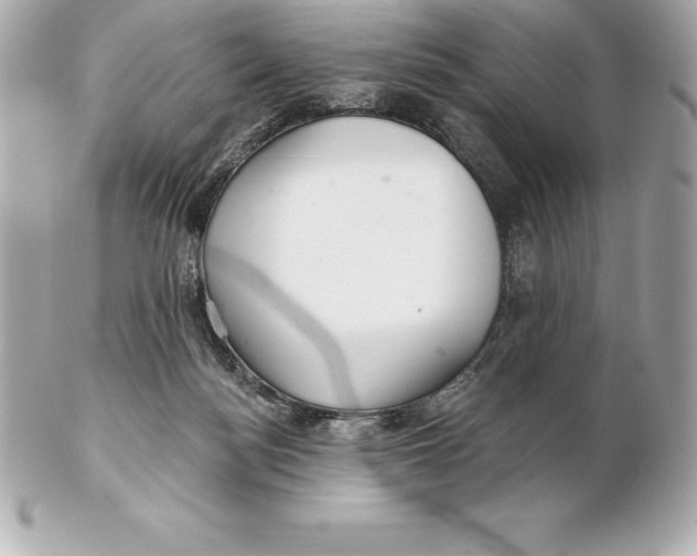 X0000102280172200808151937