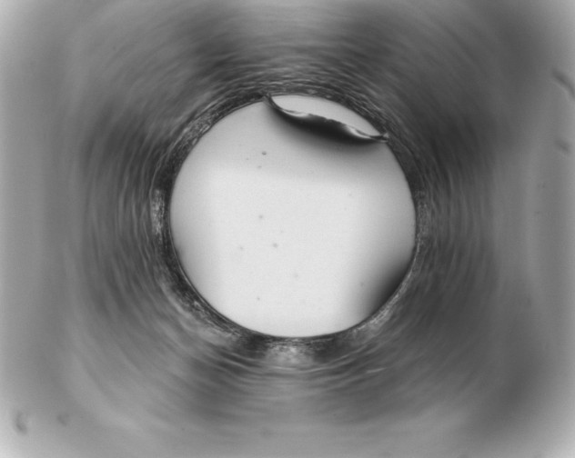 X0000102280174200808151937