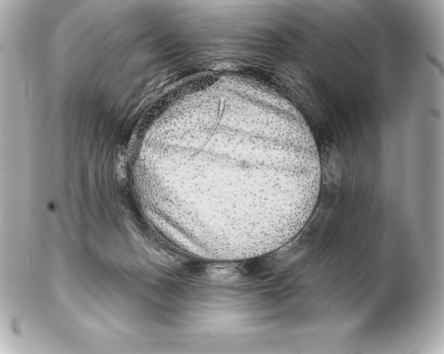 X0000102280175200808151937