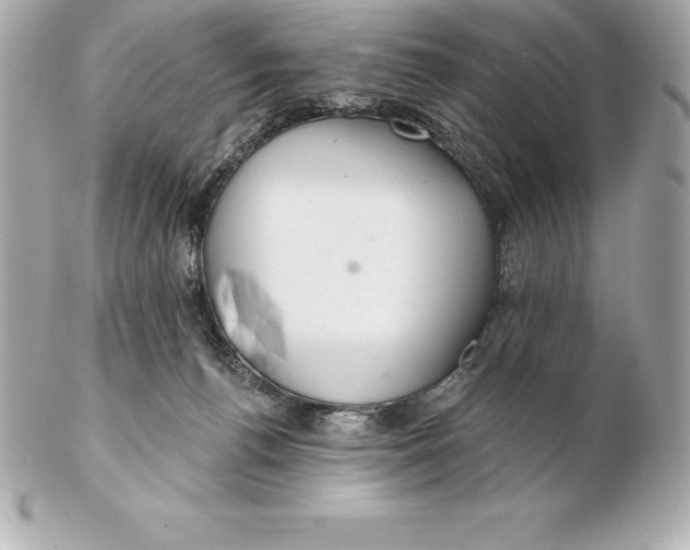 X0000102280176200808151937
