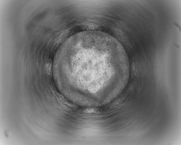 X0000102280177200808151937