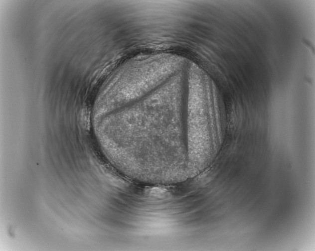 X0000102280180200808151937