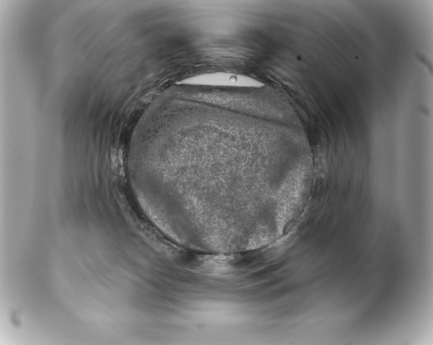 X0000102280182200808151937