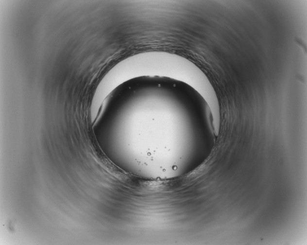 X0000102280184200808151937