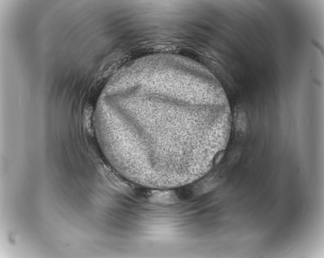 X0000102280185200808151937
