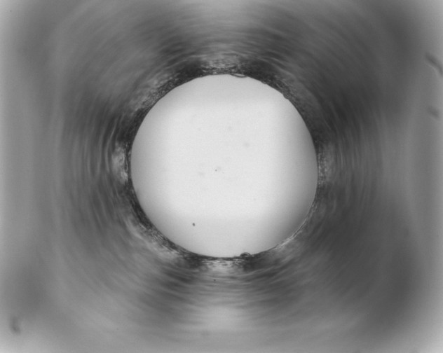 X0000102280187200808151937