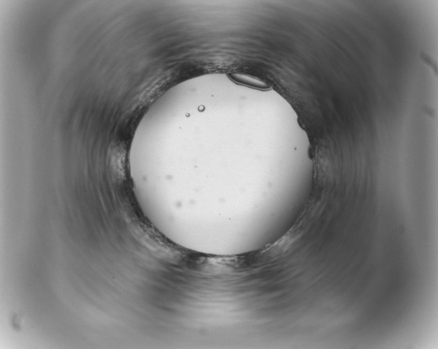 X0000102280188200808151937