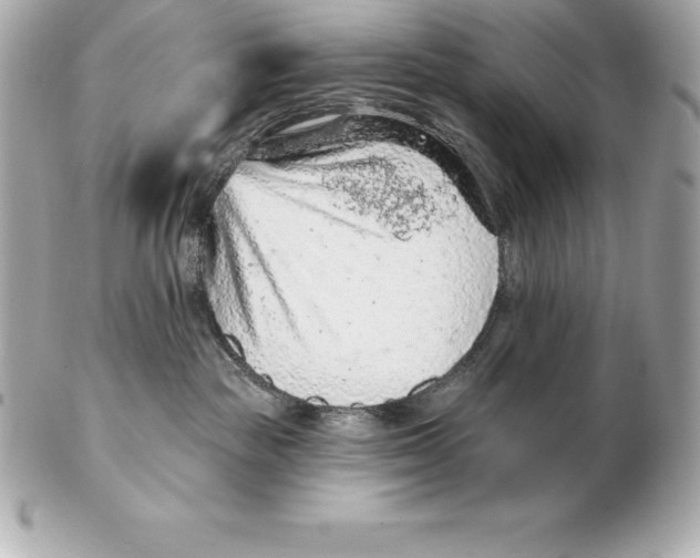 X0000102280189200808151937
