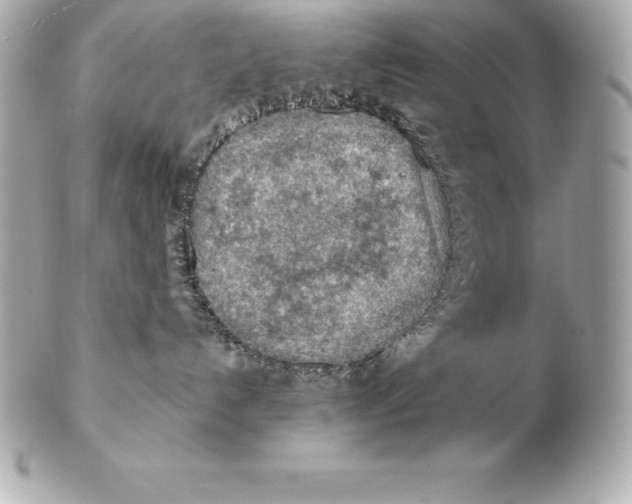 X0000102280192200808151937