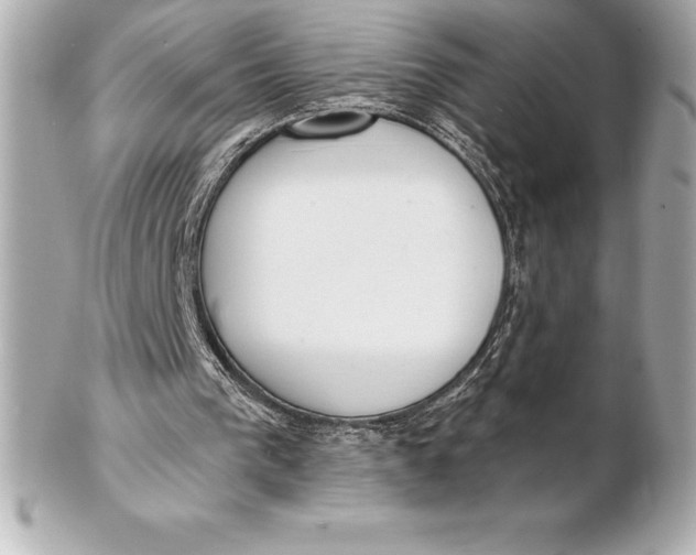X0000102280193200808151936