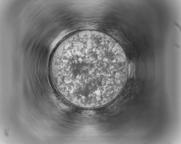 X0000102280195200808151936