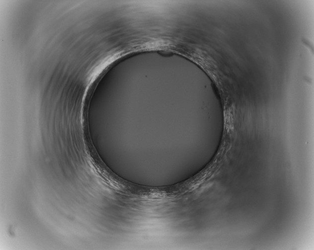 X0000102280196200808151936