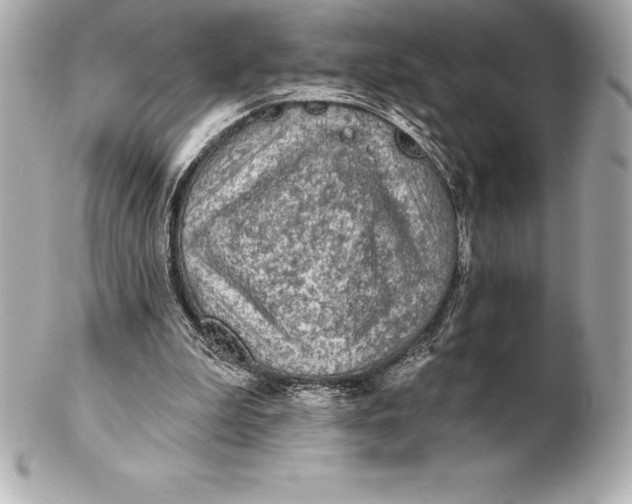X0000102280199200808151936