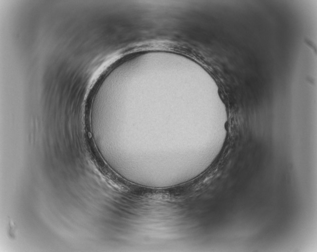 X0000102280200200808151936