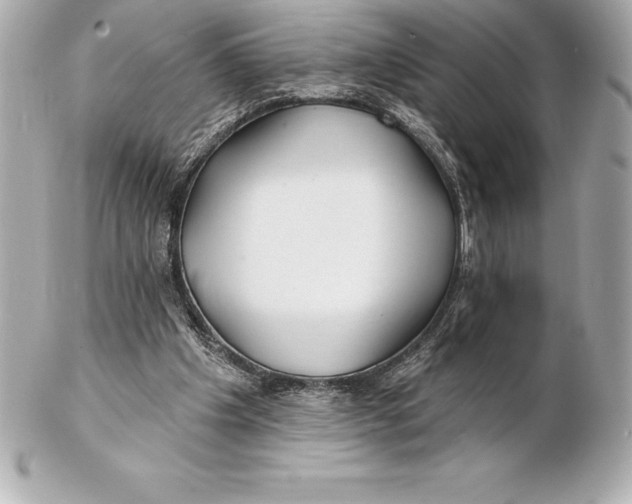 X0000102280201200808151936