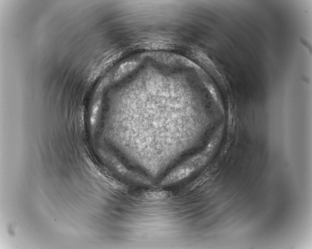 X0000102280202200808151936
