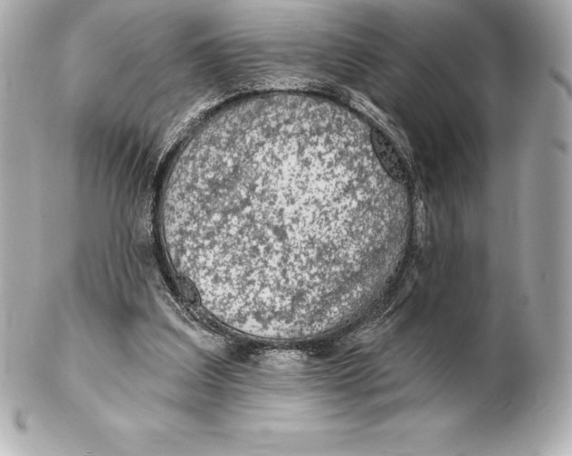 X0000102280203200808151936
