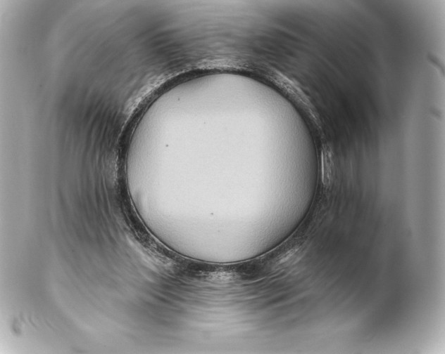 X0000102280204200808151936