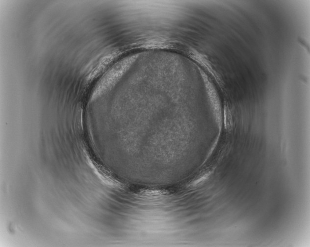 X0000102280205200808151936