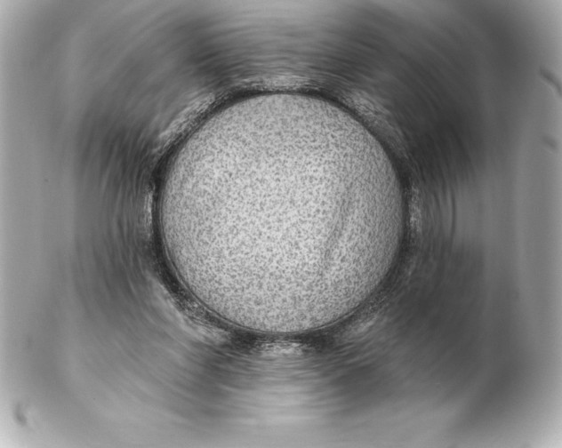 X0000102280206200808151936