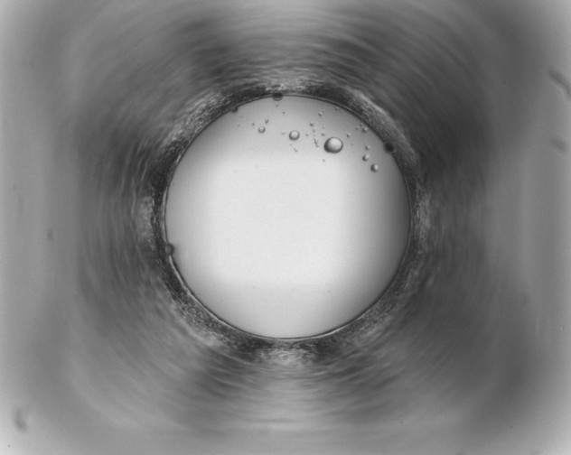 X0000102280209200808151936