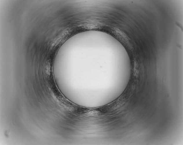 X0000102280210200808151936