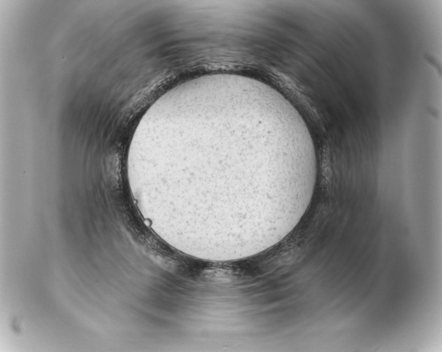 X0000102280211200808151936
