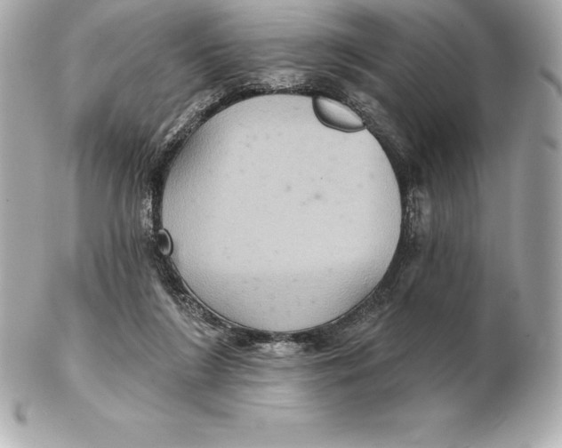 X0000102280212200808151936
