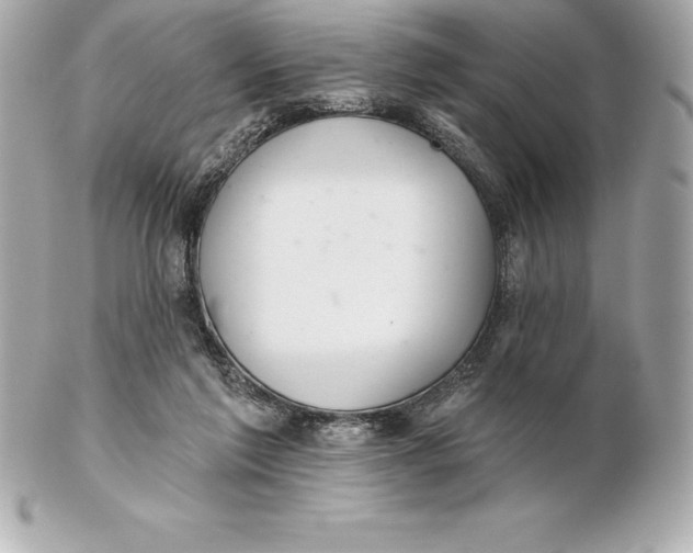 X0000102280213200808151936