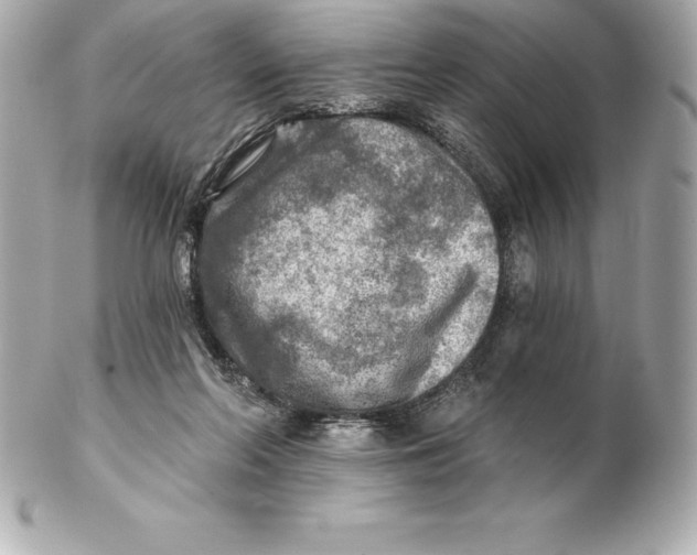 X0000102280214200808151936