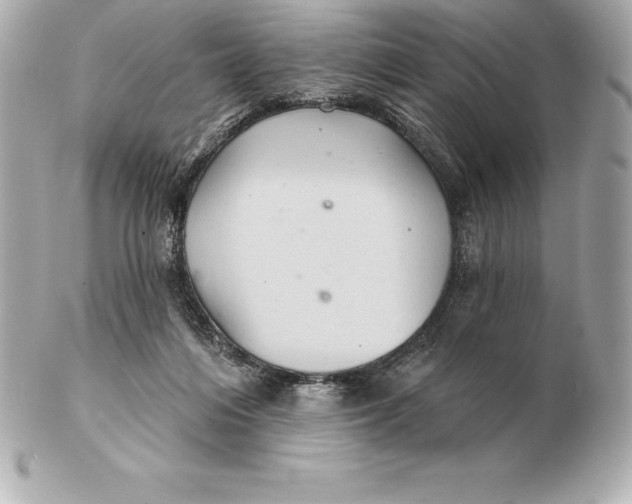 X0000102280216200808151936