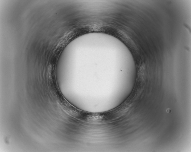 X0000102280217200808151936