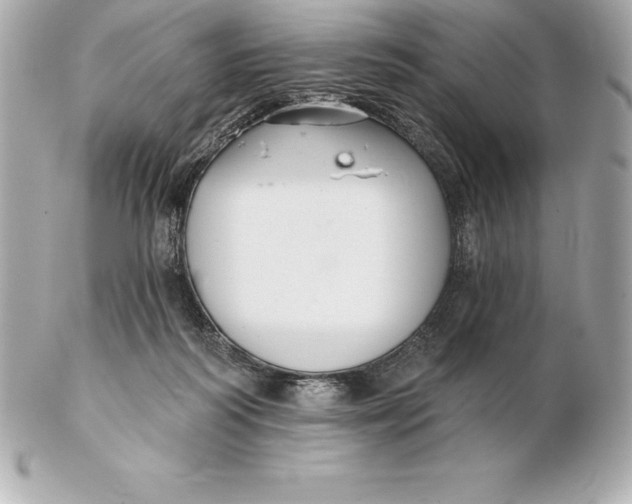 X0000102280218200808151936