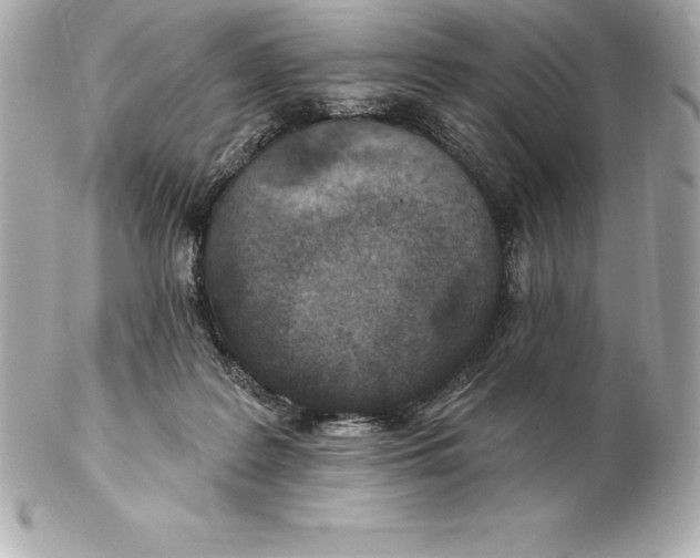 X0000102280219200808151936