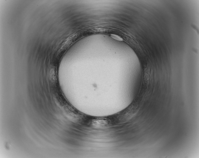 X0000102280220200808151936