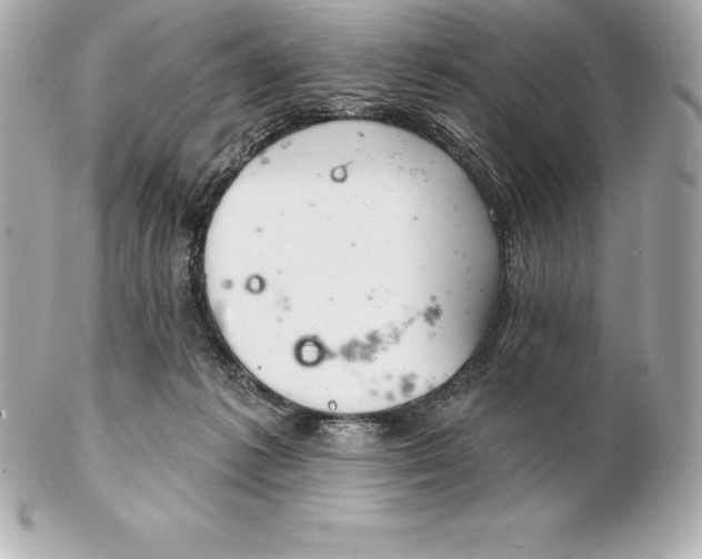 X0000102280221200808151936