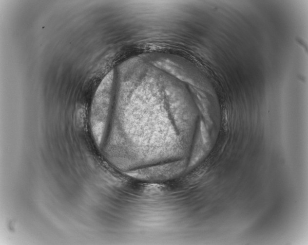 X0000102280222200808151936