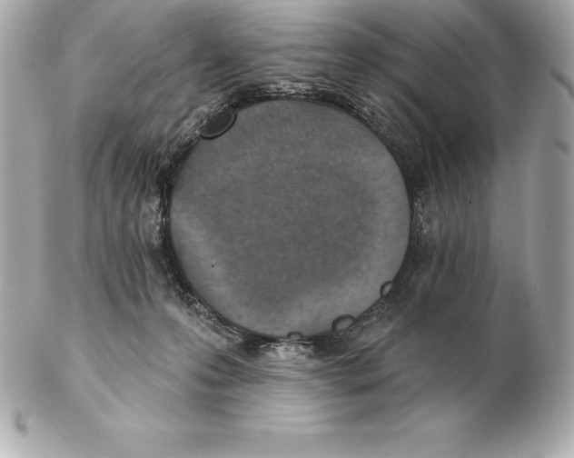 X0000102280223200808151936