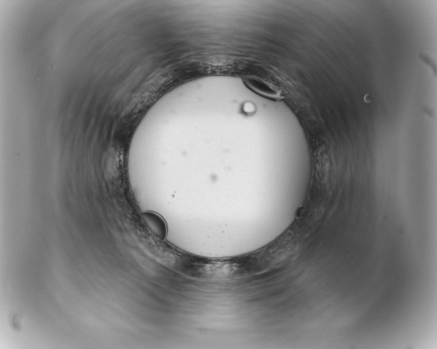 X0000102280225200808151936