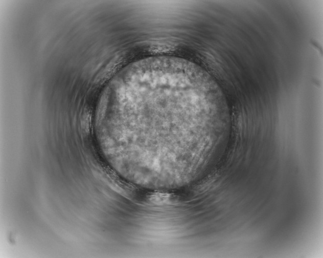 X0000102280227200808151936