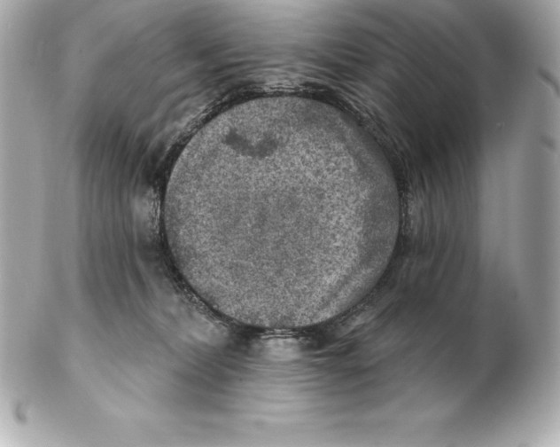 X0000102280228200808151936