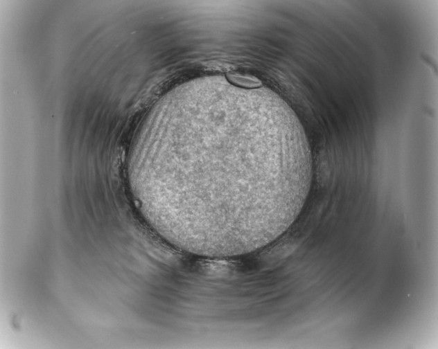 X0000102280229200808151936