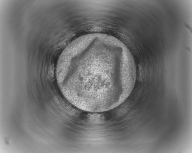 X0000102280230200808151936