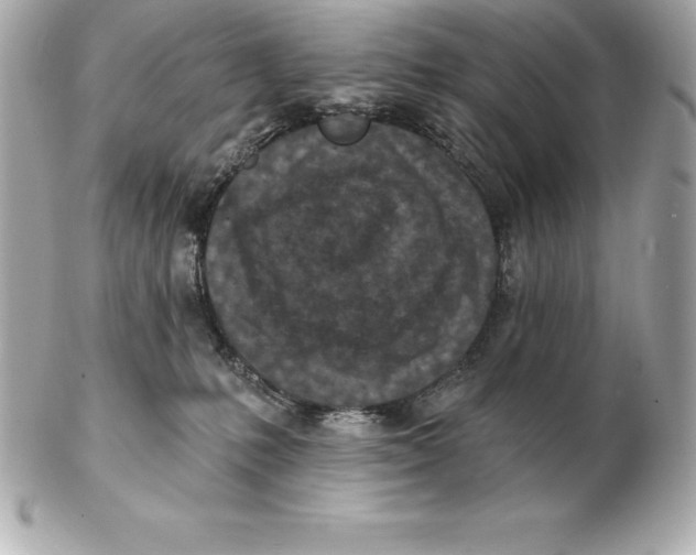 X0000102280231200808151936