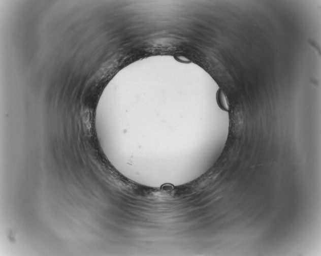 X0000102280232200808151936
