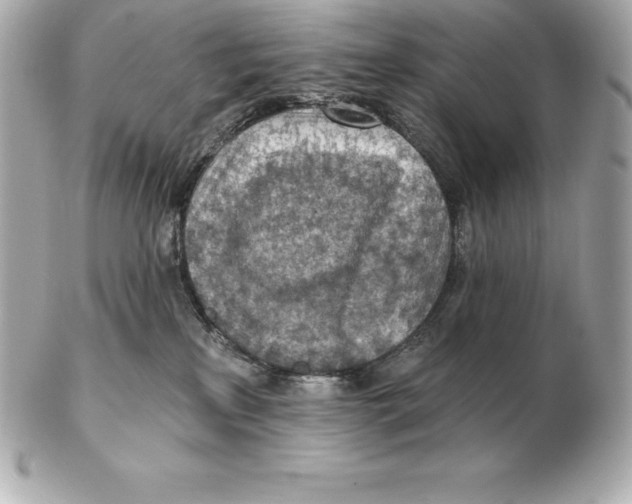 X0000102280233200808151936