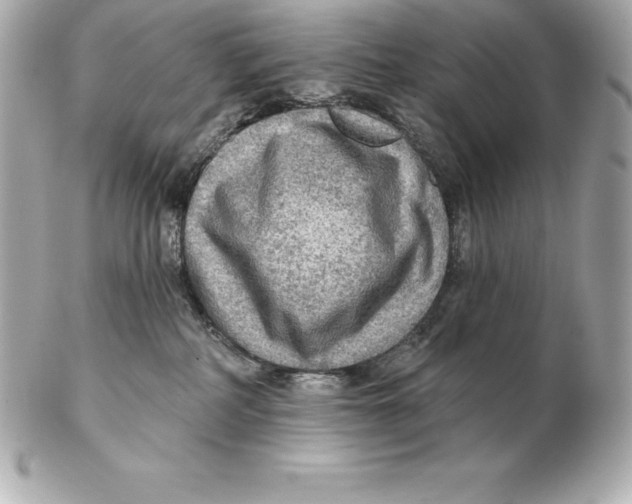 X0000102280234200808151936
